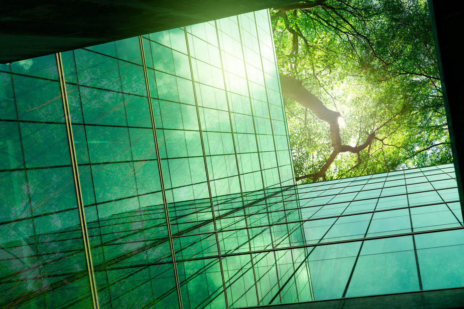 Architettura in vetro immersa nel verde